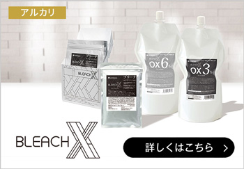 BLEACH X